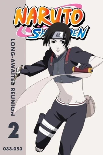 Naruto Shippuden Season 2 Poster
